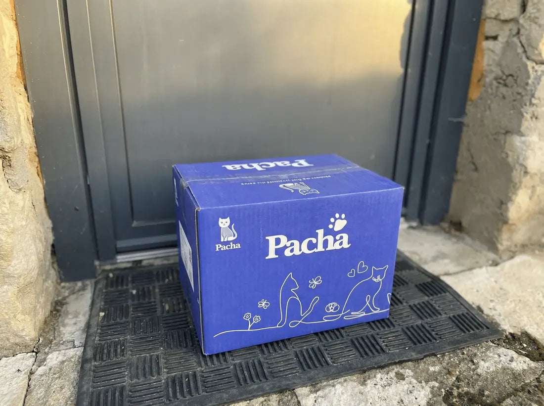 Scatola di Pacha sulla soglia di casa