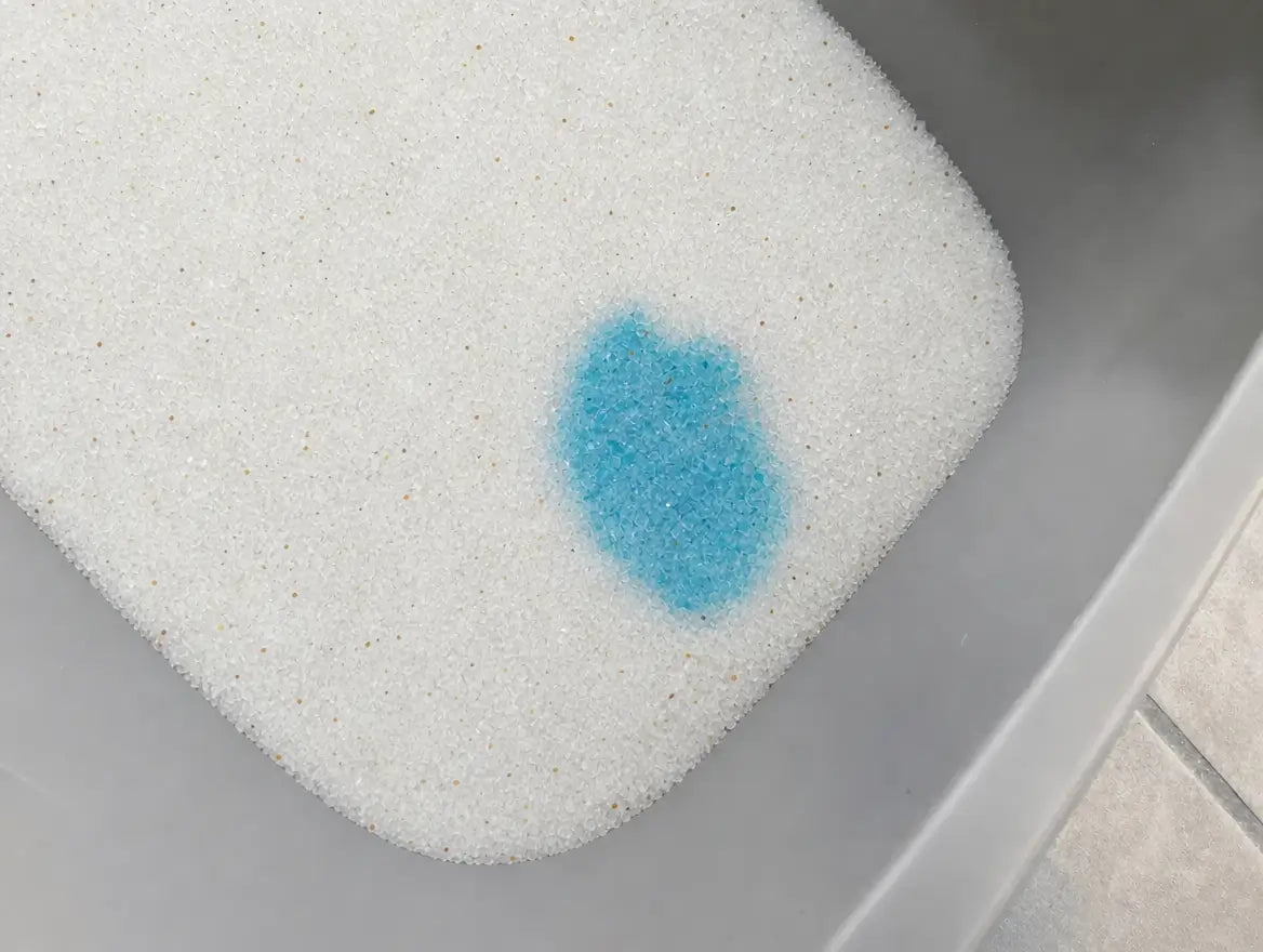 Una zona di cristalli diventata blu in un angolo della cassetta: il segnale che mi ha fatto andare dal veterinario